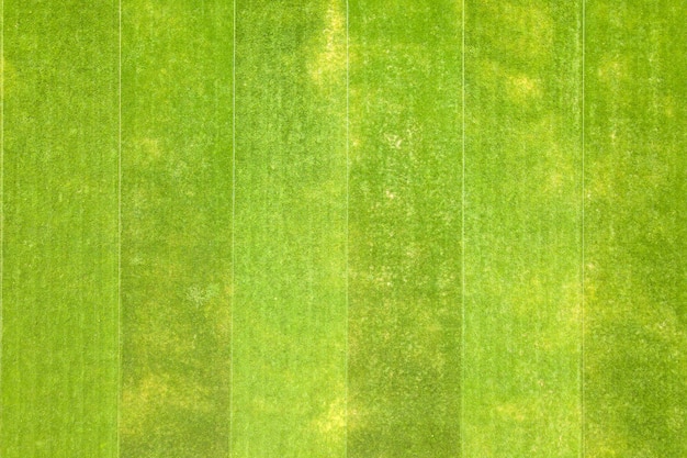 Nahaufnahme der Luftaufnahme der Oberfläche des grünen frisch geschnittenen Grases auf dem Fußballstadion im Sommer.