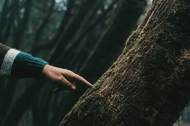 Nahaufnahme der menschlichen Fingerhand, die mit Sorgfalt einen grünen Moschusbaumstamm im Wald im Freien berührt Naturlandschaftlich reizvoller Ort Menschen und Natur respektieren die Liebe Stoppen Sie die Entwaldung und die Zukunft des Klimawandels