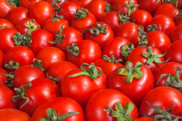 Nahaufnahme der Mini-Kirschtomaten-Sammlung