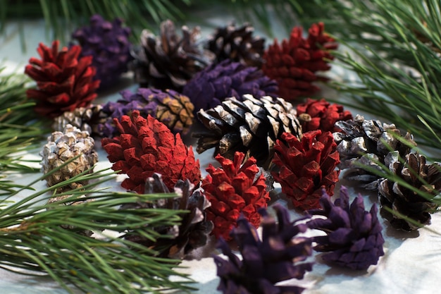 Nahaufnahme der Natur Winterdekoration. Bunte Strobilas mit Kiefer auf weißem Hintergrund.