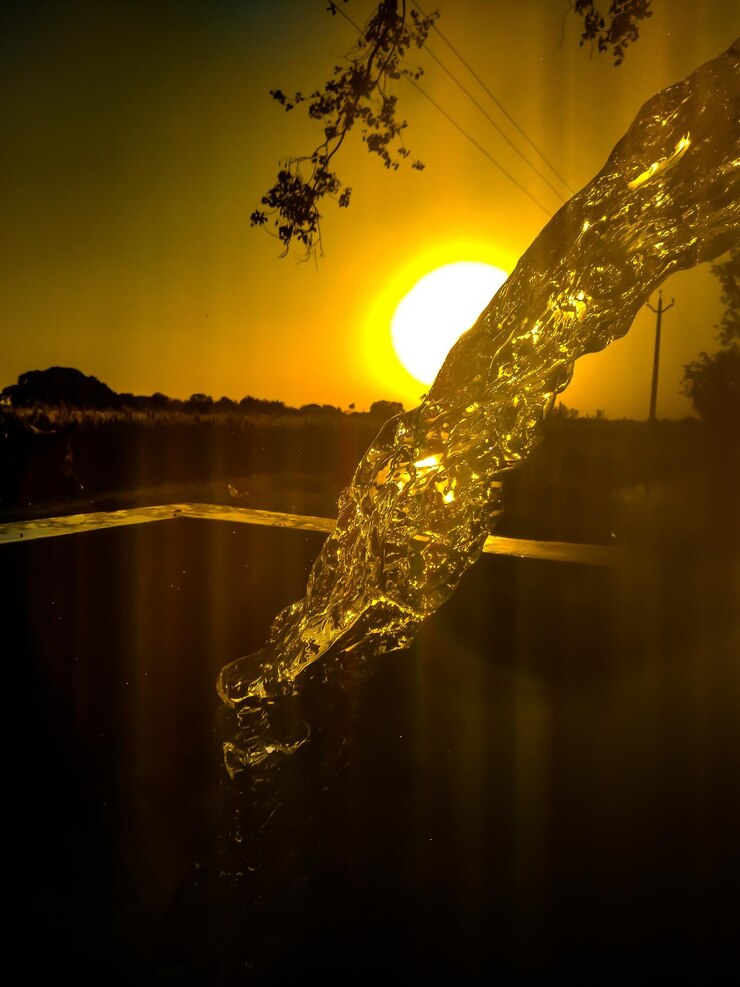 Foto nahaufnahme der pflanze gegen den see bei sonnenuntergang