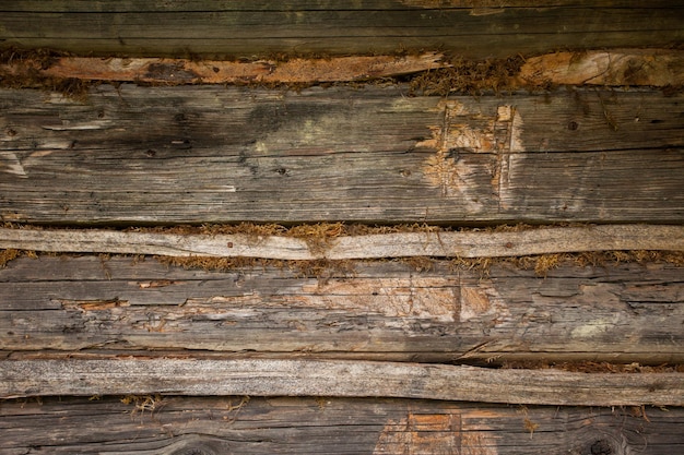 Nahaufnahme der rauen Holzstruktur. Alte quadratische Balken mit Moos in den Schlitzen