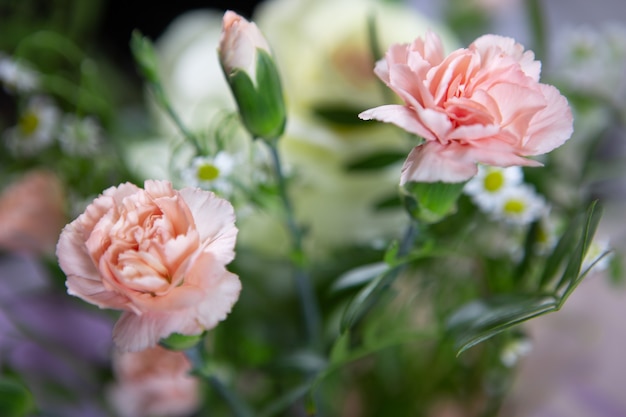 Nahaufnahme der rosa Blumen der dekorativen Nelken in einem frischen schönen Blumenstrauß