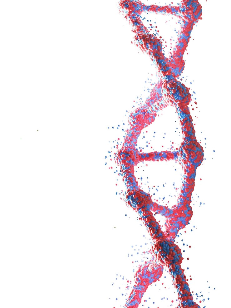 Nahaufnahme der roten DNA-Kette vor weißem Hintergrund