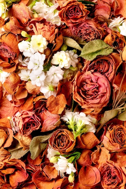 Nahaufnahme der schönen botanischen Zusammensetzung mit trockenen Rosen, Blütenblättern und weißen Blumen