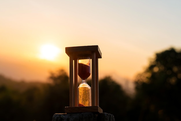 Foto nahaufnahme der silhouette der pflanze vor dem himmel beim sonnenuntergang