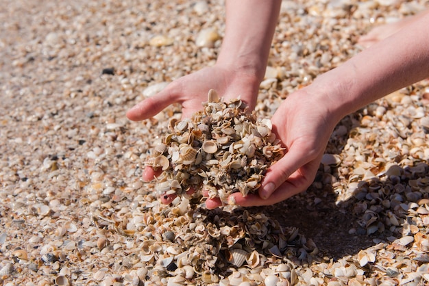 Nahaufnahme der weiblichen Hände mit Handvoll Muscheln