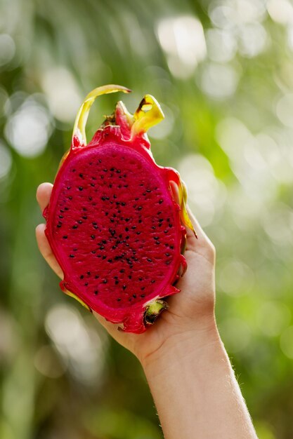 Nahaufnahme der weiblichen Hand mit frischer roter Pitahaya - Drachenfrucht