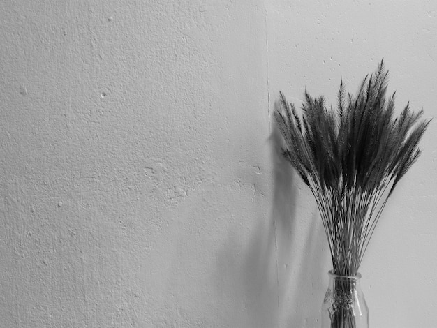 Nahaufnahme der weißen Wand