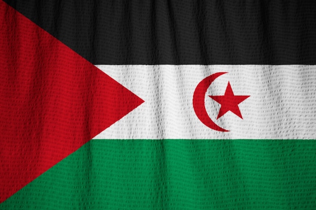 Nahaufnahme der zerzausten Sahrawi-arabischen demokratischen Republik