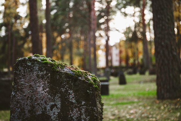 Nahaufnahme des alten Grabsteins auf dem Friedhof
