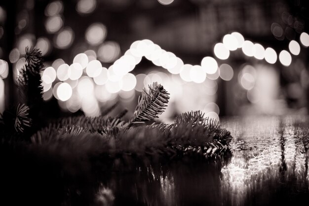 Foto nahaufnahme des beleuchteten weihnachtsbaums in der nacht