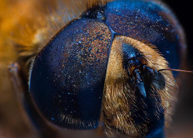 Foto nahaufnahme des blauen meeres