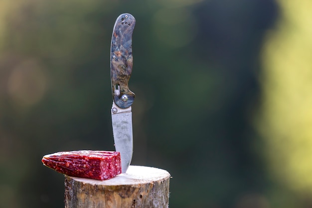 Nahaufnahme des faltenden Taschenmessers draußen fest vertikal im Baumstumpf und im Stück Wurst auf dunkelgrünem Wald.