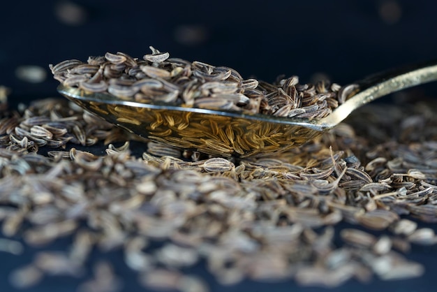 Foto nahaufnahme des getrockneten nestes auf der pflanze