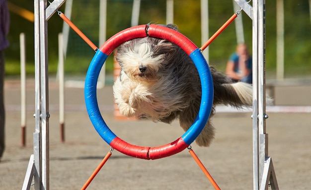 Nahaufnahme des goldenen Tores auf der Rutsche auf dem Spielplatz