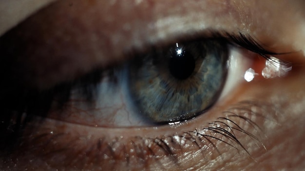 Nahaufnahme des grünen Auges mit Kapillaren Erschrockener Blick Das Konzept der Augenheilkunde und Medizin Extremes Makro-Augenbild mit filmischer Tonung