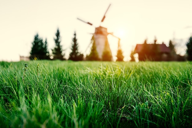 Nahaufnahme des grünen Grases. Alte hölzerne Windmühle im Hintergrund.