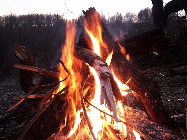 Nahaufnahme des Lagerfeuers