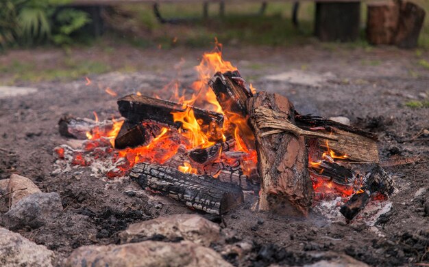 Foto nahaufnahme des lagerfeuers