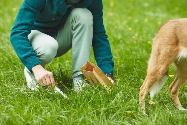 Nahaufnahme des Mannes, der nach seinem Hund aufräumt, während sie im Park gehen