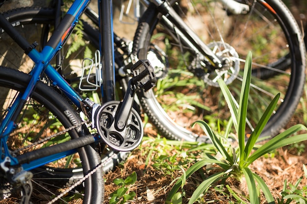 Nahaufnahme des Mountainbikes im Wald