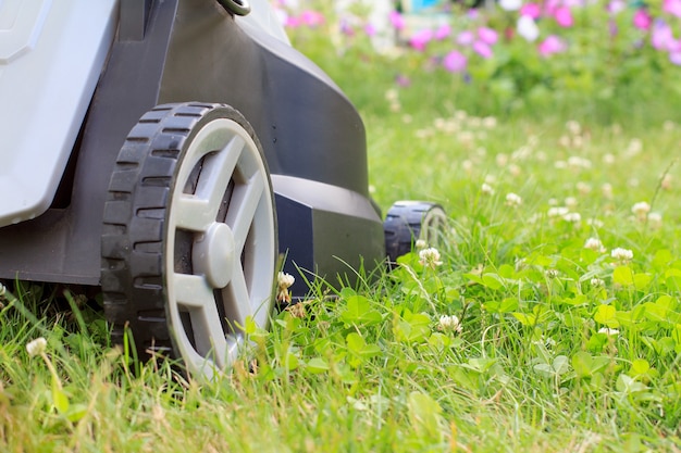 Nahaufnahme des Rasenmähers auf grünem Gras im Garten. Rasenmäher Ausrüstung. Mähen von Gärtnerpflegewerkzeugen. Geringe Schärfentiefe