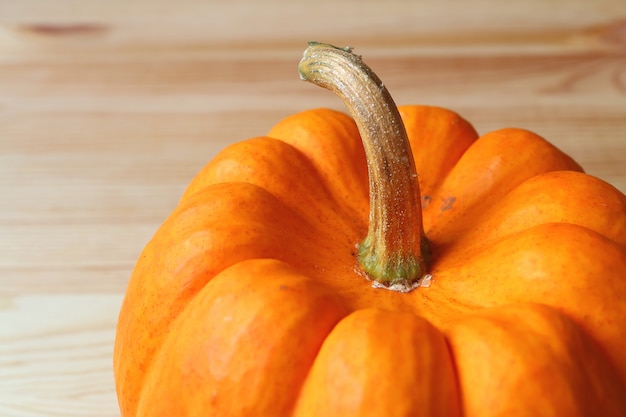 Nahaufnahme des reifen Kürbises der vibrierenden orange Farbe mit Stamm