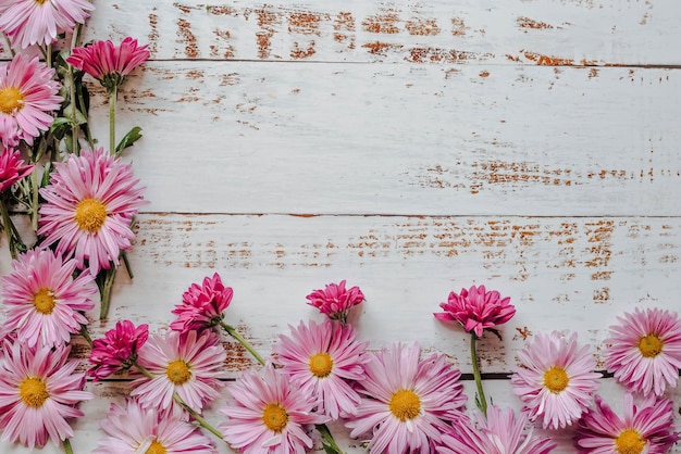 Nahaufnahme des rosa Blumenhintergrundes von Chrysanthemen