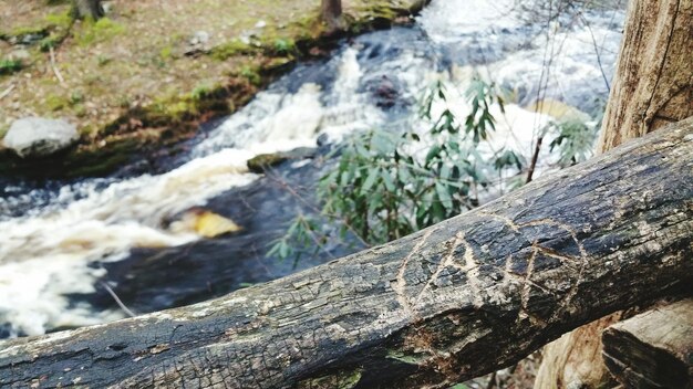 Foto nahaufnahme des textes über holz nach flüssen