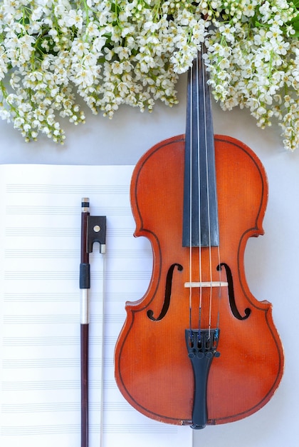 Nahaufnahme des Zweiges der blühenden Vogelkirsche und der alten Violine mit Bogenfiddlestick auf hellgrauem Hintergrund mit Notenpapier
