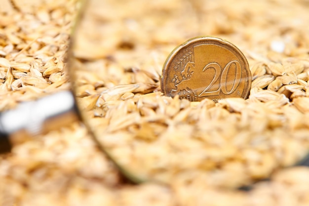 Nahaufnahme einer 20-Cent-Euro-Münze in Gerstenkörnern durch ein Vergrößerungsglas