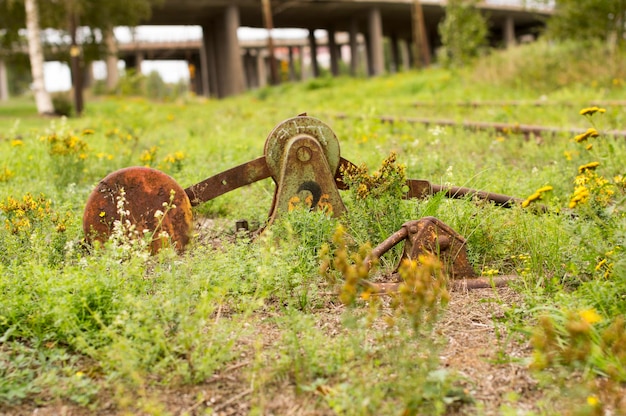 Foto nahaufnahme einer alten, rostigen eisenbahn, die mit blumen und gras bedeckt ist