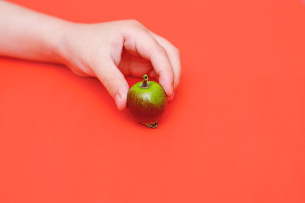 Foto nahaufnahme einer apfel in der hand