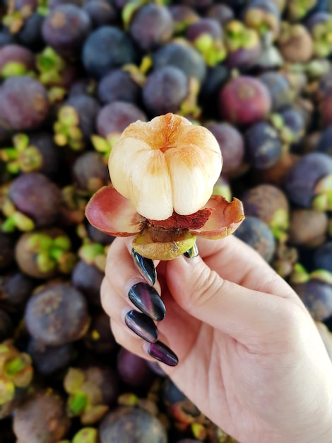 Foto nahaufnahme einer apfel in der hand