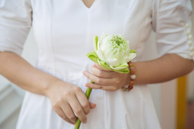 Nahaufnahme einer asiatischen Frau in einem weißen Kleid, die eine Lotusblume in ihren Händen hält