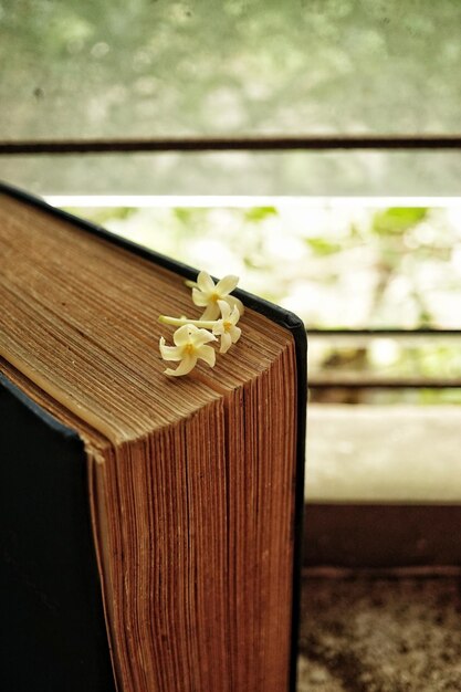 Nahaufnahme einer blühenden Pflanze auf einem Buch