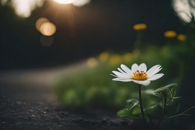 Nahaufnahme einer Blume, die aus einer Straße wächst