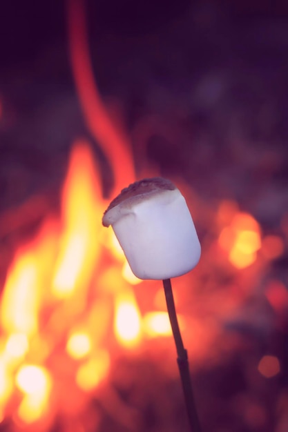 Foto nahaufnahme einer blume in der nacht