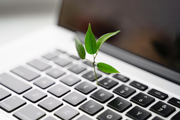 Foto nahaufnahme einer computer-tastatur