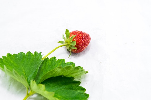 Foto nahaufnahme einer erdbeere auf weißem hintergrund