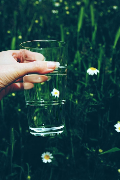 Foto nahaufnahme einer frau, die ein glas wasser gegen pflanzen hält