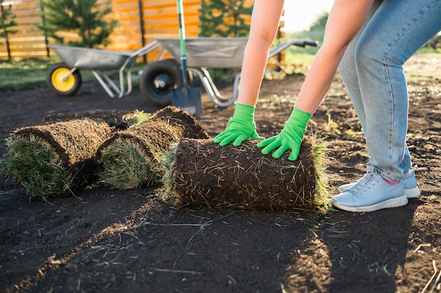 Nahaufnahme einer Frau, die Rasen für ein neues Gartenrasen-Verlegungskonzept legt