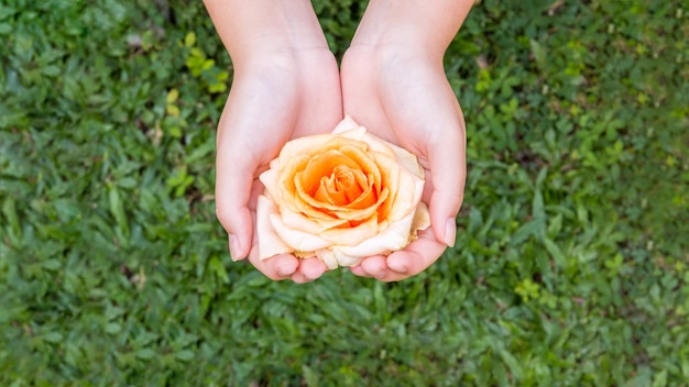 Nahaufnahme einer Frau mit einer Rose