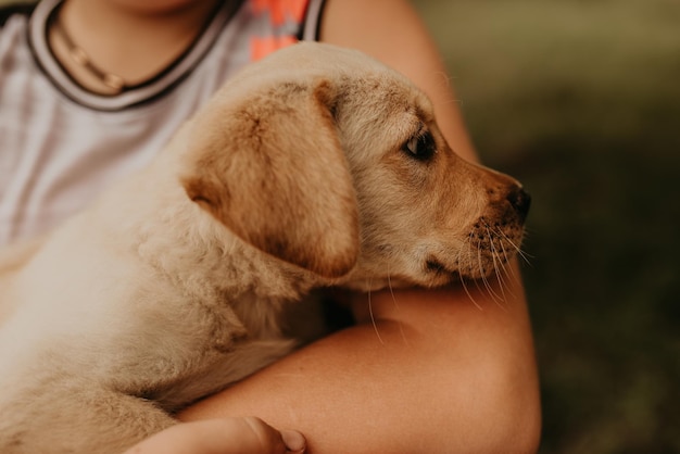 Nahaufnahme einer Frau mit Hund, die sich zu Hause entspannt