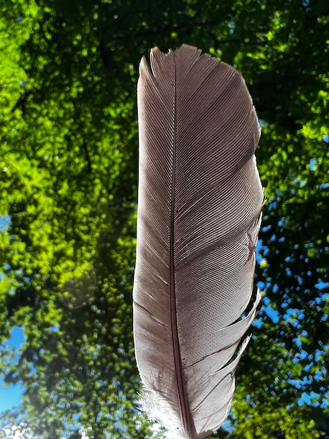 Foto nahaufnahme einer frau