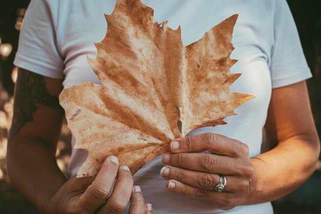 Nahaufnahme einer Frauenhand, die allein ein großes gelbes Herbstahornblatt bei Freizeitaktivitäten im Freien hält. Konzept von Mensch und Natur, Umwelt, Lebensstil, nachhaltiges Leben, Waldsaison, natürlicher Hintergrund