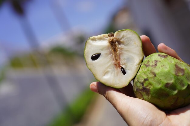 Nahaufnahme einer Frucht in der Hand