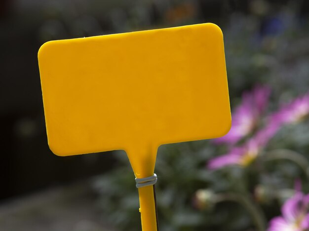 Foto nahaufnahme einer gelben blume auf der straße