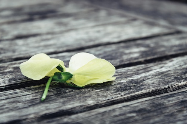 Foto nahaufnahme einer gelben blume, die auf holz gefallen ist